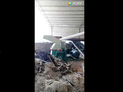 木材柠檬视频网站客户生产现场视频